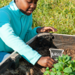 Comment apprendre le jardinage à ses enfants de façon ludique ?